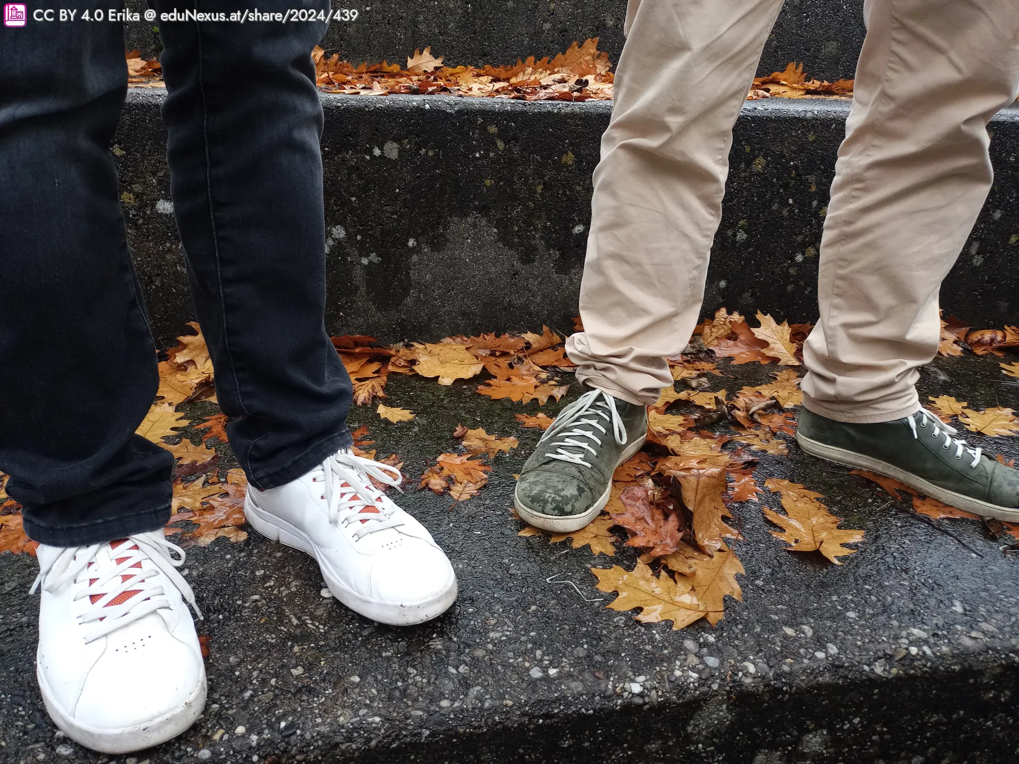 Zwei Paar Füße auf einer Treppe, umgeben von herabgefallenen Herbstblättern. Ein Paar trägt weiße Sneakers, das andere Paar hat grüne und beige Schuhe.