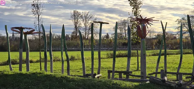 Bunte Holzskulpturen in Form von Blumen und Pflanzen stehen in einer grünen Wiese unter einem bewölkten Himmel.