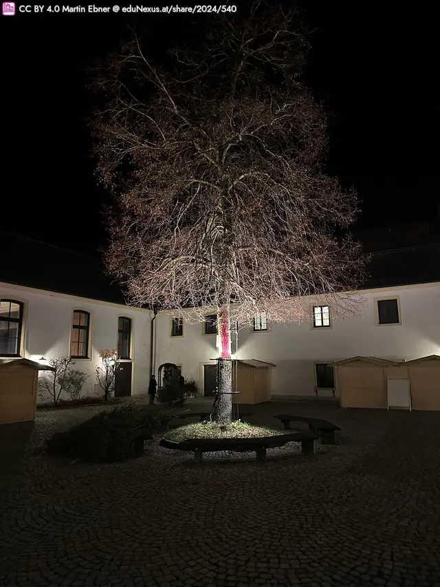 Ein beleuchteter Baum in einem Innenhof bei Nacht, umgeben von zwei Gebäuden und mehreren Holzhütten.