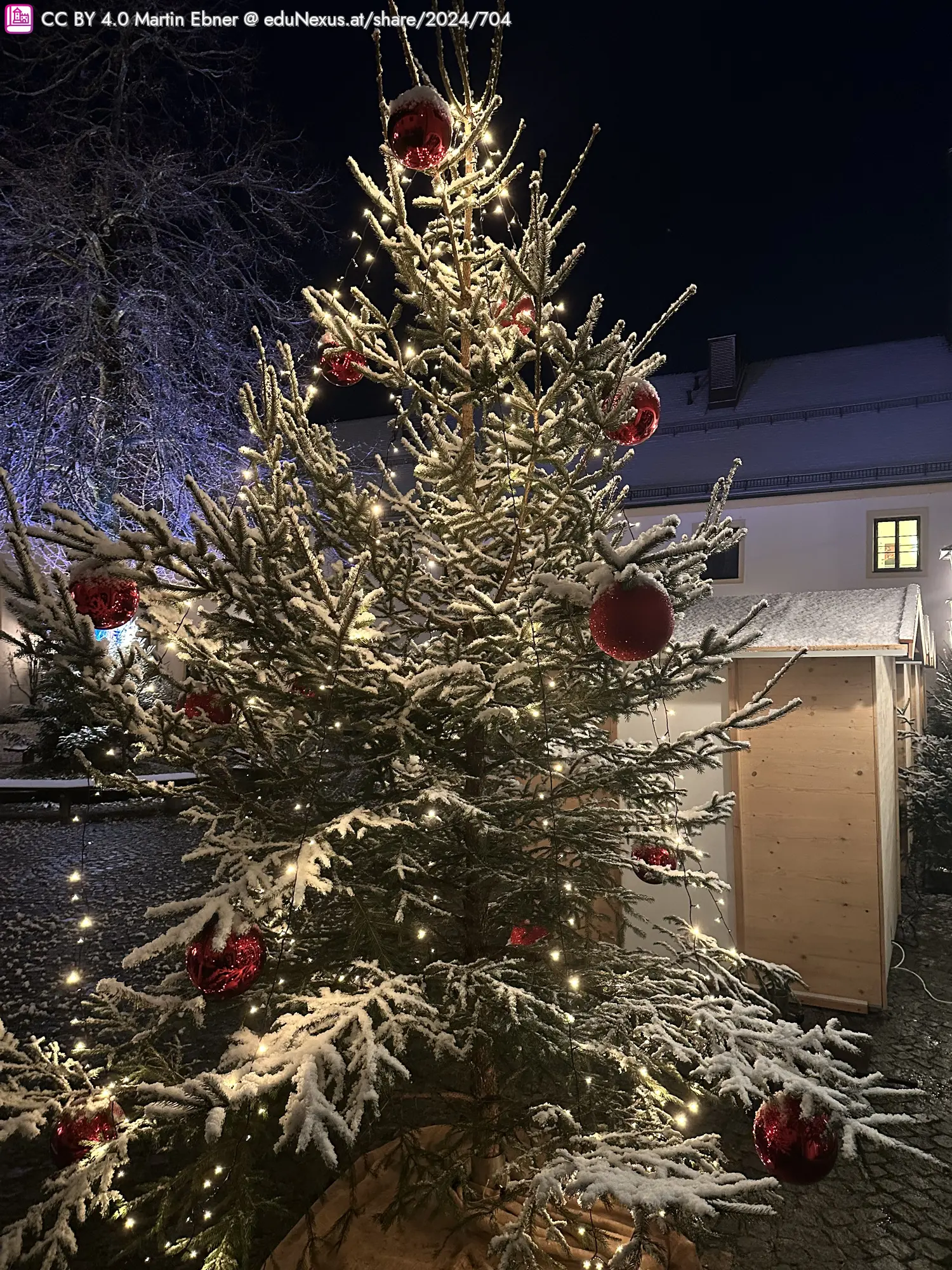 Weihnachtsbaum mit roten Kugeln und Lichtern, bedeckt mit Schnee, vor einem beleuchteten Hintergrund.