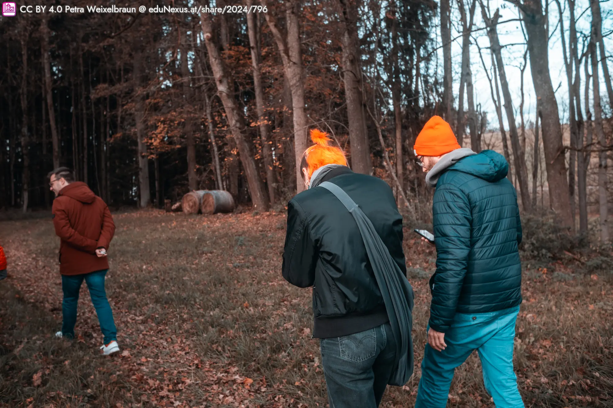 Drei Personen gehen durch einen Wald, zwei tragen orangefarbene Mützen, einer hat einen orangefarbenen Zopf. Im Hintergrund sind Holzstämme sichtbar.