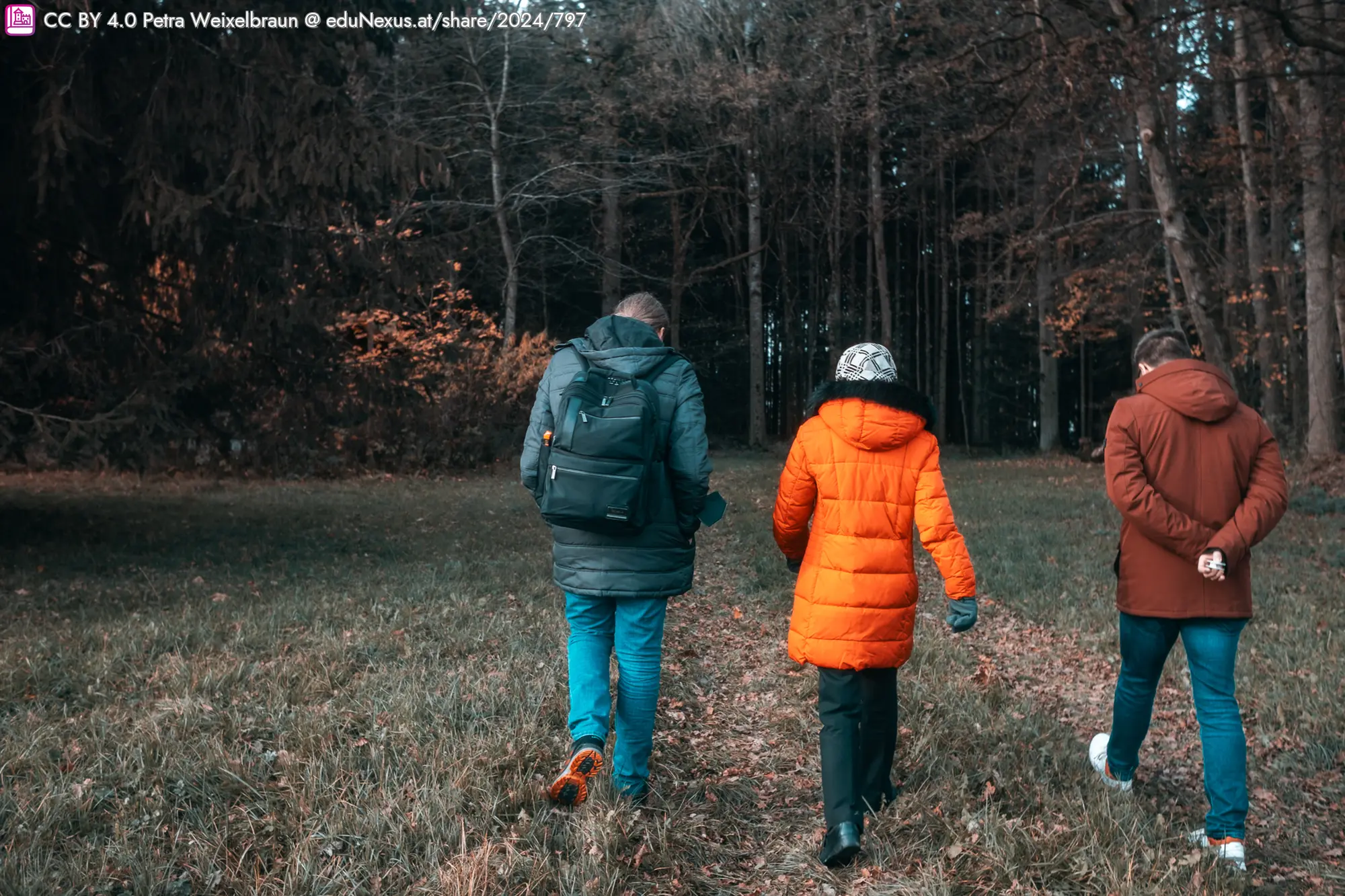 Drei Personen gehen auf einem Waldweg. Eine Person trägt eine orange Jacke, eine andere eine schwarze Jacke mit Rucksack, und die dritte trägt eine braune Jacke. Bäume und herbstliche Farben im Hintergrund.